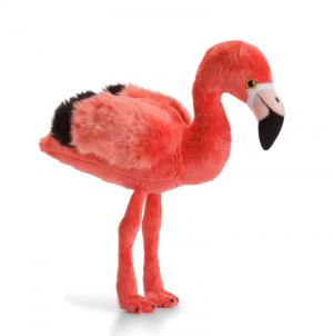 Flamingo - WWF (Världsnaturfonden)